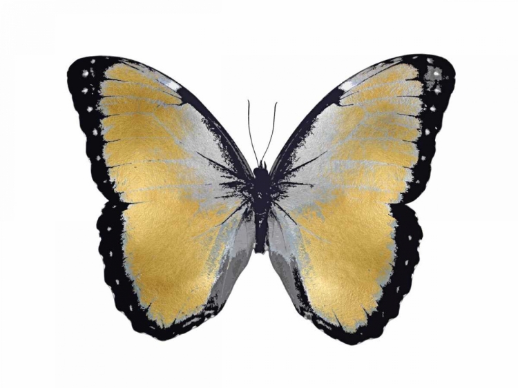 Picture of BUTTERFLY IN METALLIC I