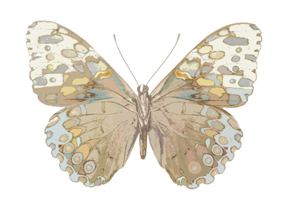 Picture of BUTTERFLY IN TAUPE AND BLUE