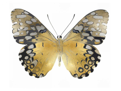 Picture of GOLDEN BUTTERFLY I
