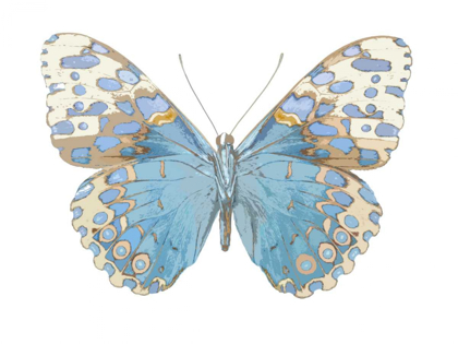 Picture of BUTERFLY WITH INDIGO