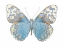 Picture of BUTERFLY WITH INDIGO