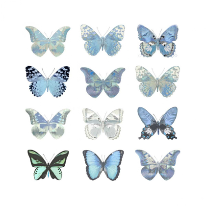 Picture of BUTTERFLY STUDY IN BLUE I