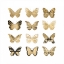 Picture of BUTTERFLY STUDY IN GOLD II