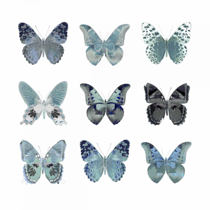 Picture of BUTTERFLY STUDY IN BLUE II
