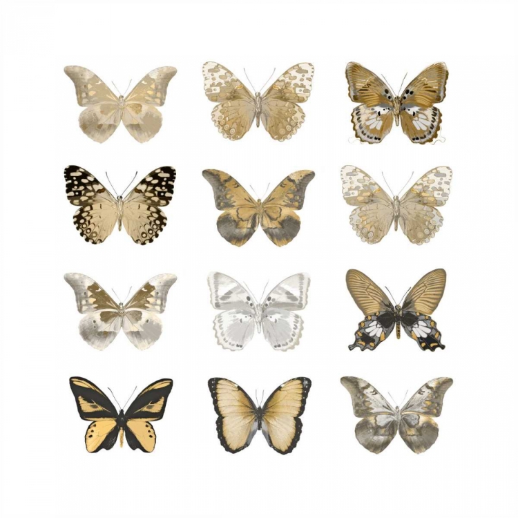 Picture of BUTTERFLY STUDY IN GOLD III