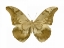 Picture of GOLDEN BUTTERFLY III