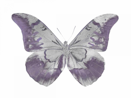 Picture of BUTTERFLY IN AMETHYST I