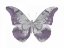 Picture of BUTTERFLY IN AMETHYST I