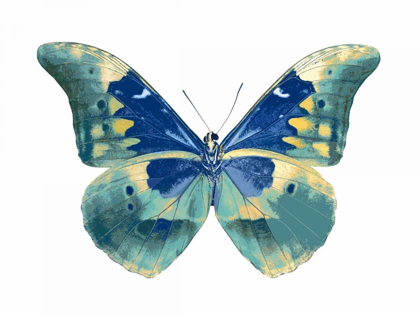 Picture of BUTTERFLY IN AQUA I