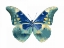 Picture of BUTTERFLY IN AQUA I