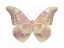 Picture of BUTTERFLY IN TEAL I