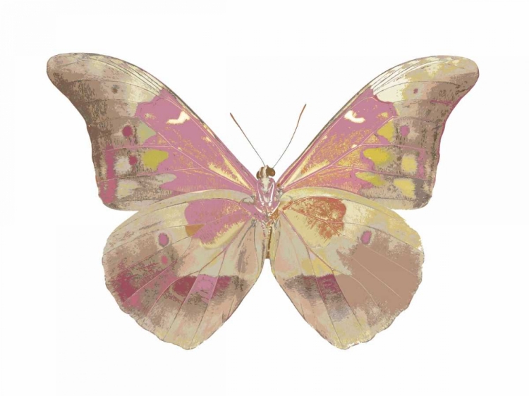 Picture of BUTTERFLY IN GREY IV