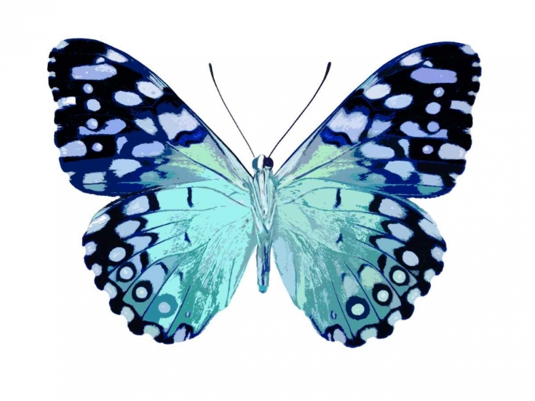 Picture of BUTTERFLY IN METALLIC II