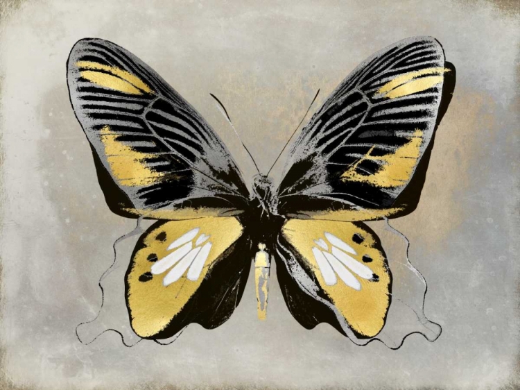 Picture of BUTTERFLY STUDY III
