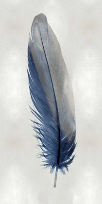 Picture of BLUE FEATHER ON SILVER I