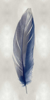 Picture of BLUE FEATHER ON SILVER II