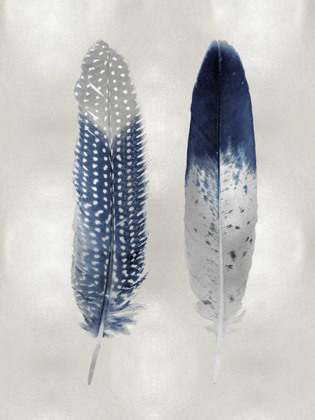 Picture of BLUE FEATHER PAIR ON SILVER
