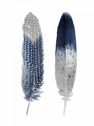 Picture of BLUE FEATHER PAIR