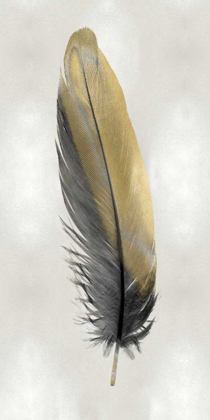 Picture of GOLD FEATHER ON SILVER I