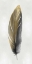 Picture of GOLD FEATHER ON SILVER II