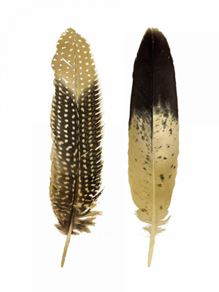 Picture of GOLD FEATHER PAIR
