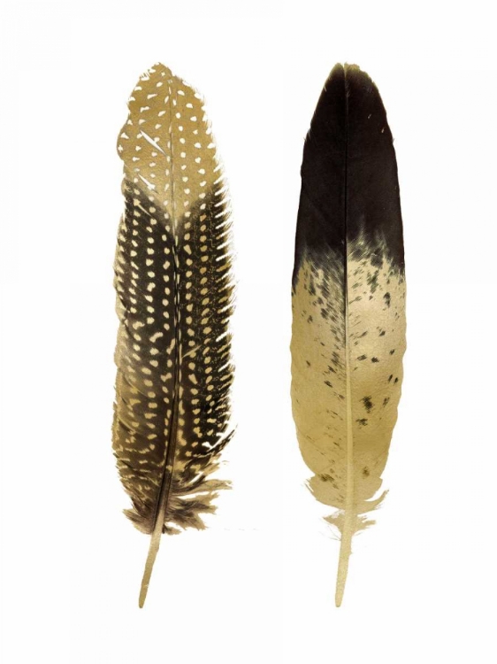 Picture of GOLD FEATHER PAIR