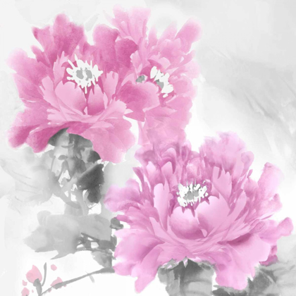 Picture of FLOWER BLOOM IN PINK II