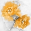 Picture of FLOWER BLOOM IN MANDARIN I