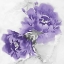 Picture of FLOWER BLOOM IN AMETHYST II