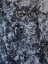 Picture of OWL II