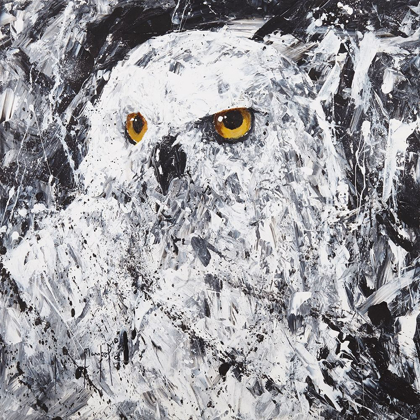 Picture of OWL III
