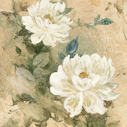 Picture of WHITE FLOWERS I