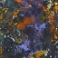 Picture of REVEL