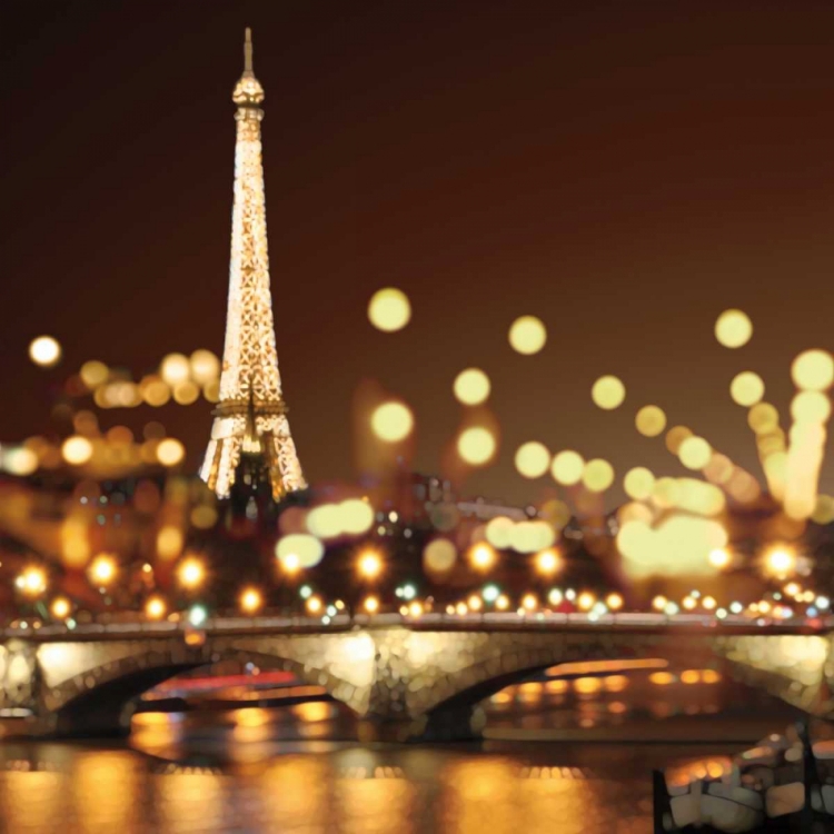 Picture of CITY LIGHTS-PARIS