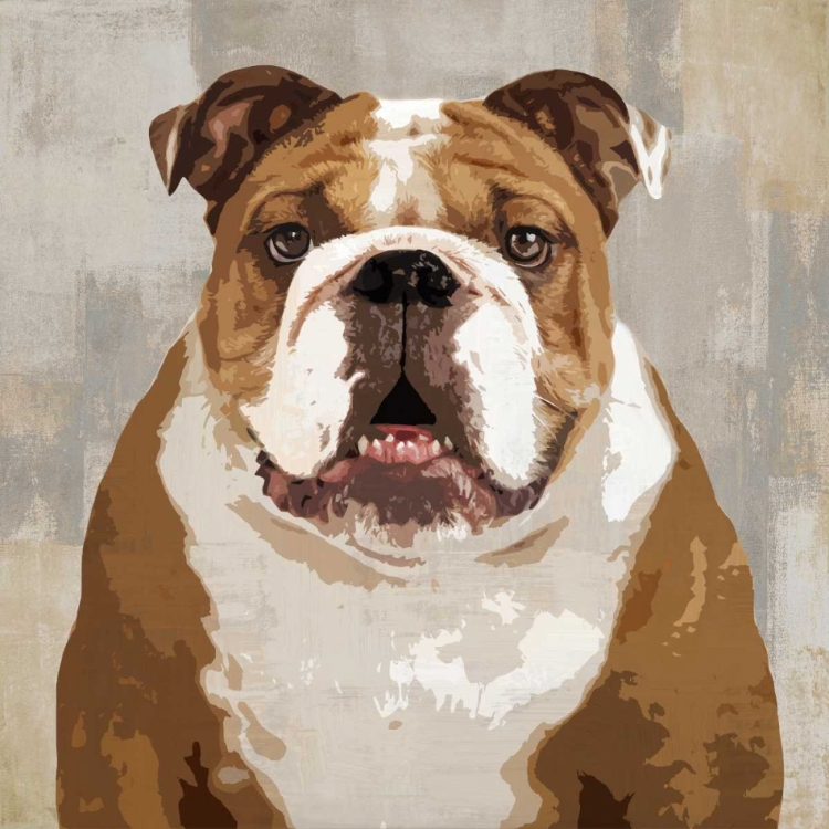 Picture of BULLDOG