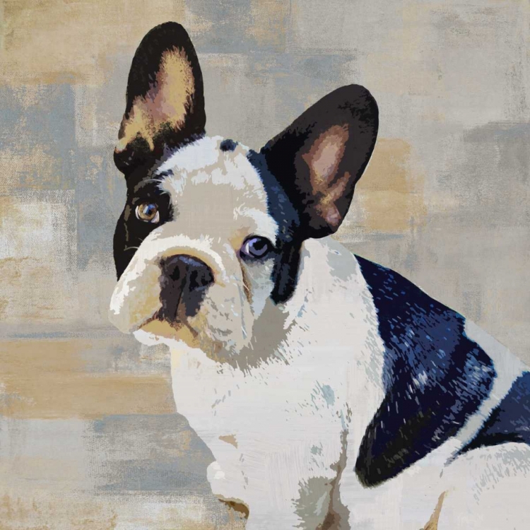 Picture of FRENCH BULLDOG