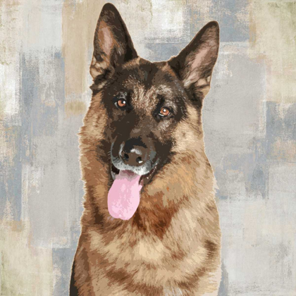 Picture of GERMAN SHEPHERD