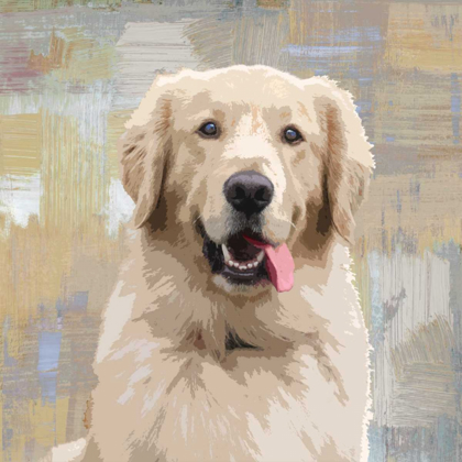 Picture of GOLDEN RETRIEVER