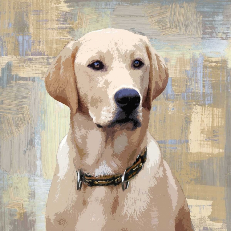 Picture of LABRADOR RETRIEVER