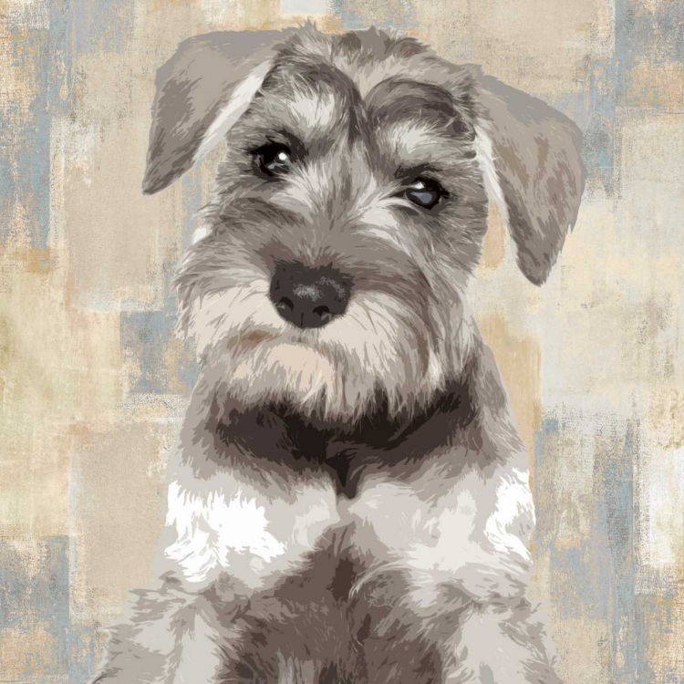 Picture of MINIATURE SCHNAUSER