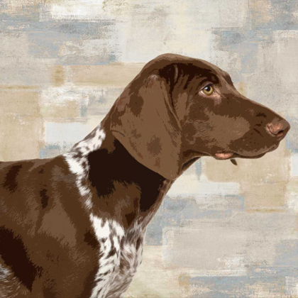 Picture of POINTER