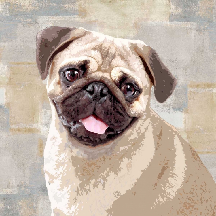 Picture of PUG