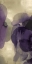 Picture of CASCADE AMETHYST TRIPTYCH II