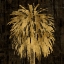 Picture of PALMS IN GOLD I