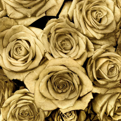 Picture of GOLD ROSES