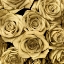 Picture of GOLD ROSES