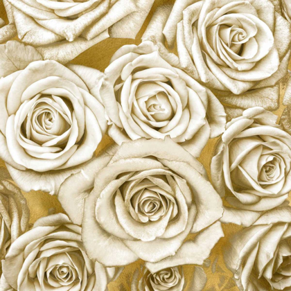 Picture of IVORY ROSES ON GOLD