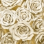 Picture of IVORY ROSES ON GOLD
