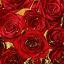 Picture of ROSES - RED ON GOLD