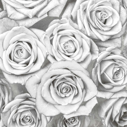 Picture of ROSES - WHITE ON SILVER